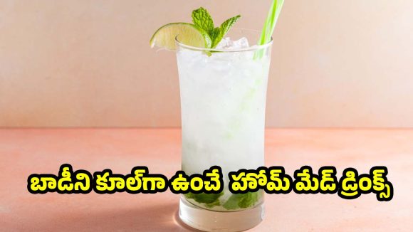 సమ్మర్ స్పెషల్.. ఈ 6 రిఫ్రెష్ డ్రింక్స్‌తో వేసవి తాపానికి గుడ్ బై చెప్పండి!