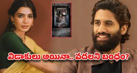ఆ టీవీ షోతో సీరియల్ ఛాన్స్ కొట్టేసిన ఇల్లు ఇల్లాలు పిల్లలు సీరియల్ నటి నర్మద!