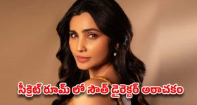 టాలీవుడ్ డైరెక్టర్ బాగోతం..బాడీ పార్ట్స్ టచ్ చేస్తూ.. సల్మాన్ హీరోయిన్‌కు నరకం!