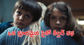 పీఎన్జీకి మారినా దీపం రాయితీ వర్తిస్తుంది.. లబ్ధిదారులకు సీఎం చంద్రబాబు భరోసా