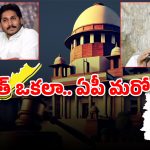 మోదీ ప్లాన్‌కు బాబు జై.. జగన్ సై.. ఏపీకి రాబోయే ఆ 13 అదనపు సీట్ల వెనుక అసలు లెక్క ఇదే!
