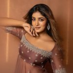Dimple Hayathi : ట్రెడిషినల్ లుక్ లో తళుక్కుమన్న డింపుల్.. ఫోటోలు వైరల్..
