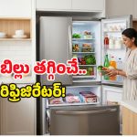 డబుల్ డోర్ ఫ్రిడ్జ్ స్టైల్ కోసమే అనుకుంటే పొరపాటే.. దీని వల్ల కలిగే లాభాలు అన్నీ ఇన్నీ కావు!