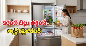 డబుల్ డోర్ ఫ్రిడ్జ్ స్టైల్ కోసమే అనుకుంటే పొరపాటే.. దీని వల్ల కలిగే లాభాలు అన్నీ ఇన్నీ కావు!