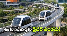 రామ్ చరణ్ వీక్ పాయింట్ మీద కొట్టిన ఉపాసన!.. దాని కోసం అంత ప్లాన్ చేశారా?