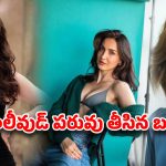 బాలీవుడ్‌ పరువు తీసిన స్వీడిష్ బ్యూటీ.. సౌత్ గొప్పతనం చెబుతూ షాకింగ్ పోస్ట్!