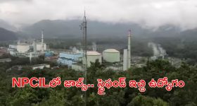 రోడ్డుపై గుట్కా ఊసిన ఇండియన్.. తగిన గుణపాఠం చెప్పిన నేపాలీ, పరువు తీశారు కదరా!
