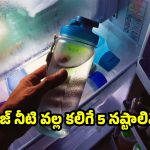 సమ్మర్‌లో.. ఫ్రిజ్‌‌లోని నీళ్లు తాగడం ఎంత డేంజరో తెలుసా ?
