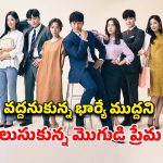 నరకం చూపించే భార్య… టైమ్ ట్రావెల్ చేసి ప్రేయసిని పెళ్లి చేసుకునే భర్త… ప్రతీ ఎపిసోడ్ సరికొత్తగా