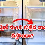 మీ ఫ్రిజ్ తెరిస్తే ‘దుర్వాసన’ వస్తోందా? సబ్బుతో కడిగినా పోని ఆ వాసనను 10 నిమిషాల్లో తరిమికొట్టే ‘మ్యాజిక్’ చిట్కాలు!