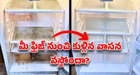 మీ ఫ్రిజ్ తెరిస్తే 'దుర్వాసన' వస్తోందా? సబ్బుతో కడిగినా పోని ఆ వాసనను 10 నిమిషాల్లో తరిమికొట్టే 'మ్యాజిక్' చిట్కాలు!