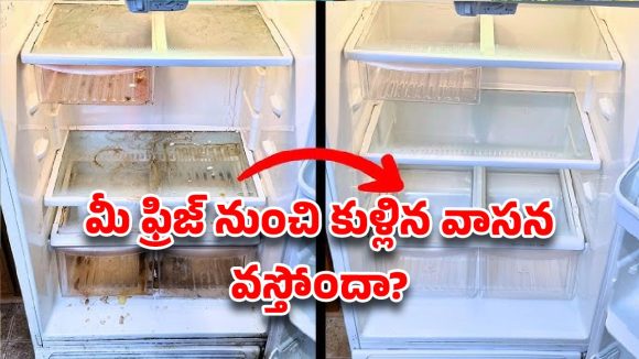 మీ ఫ్రిజ్ తెరిస్తే ‘దుర్వాసన’ వస్తోందా? సబ్బుతో కడిగినా పోని ఆ వాసనను 10 నిమిషాల్లో తరిమికొట్టే ‘మ్యాజిక్’ చిట్కాలు!