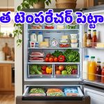 పదార్థాలు పాడవకుండా ఉండాలంటే ఫ్రిడ్జ్ టెంపరేచర్ ఎంతలో ఉండాలి? ఆ తప్పులు మాత్రం చేయొద్దు!