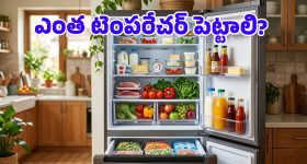 విదేశీ ఉద్యోగాల పేరిట భారీ మోసం.. ఒక్కో జాబ్‌కు రూ.4,00,000.. ముఠా ARREST