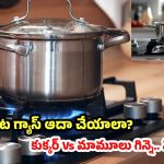 LPG Gas Saving Tips: LPG గ్యాస్ ఆదా సీక్రెట్: ప్రెజర్ కుక్కర్ Vs ఓపెన్ కుకింగ్.. ఏది వాడితే మంచిది?