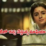 హీరో లేడు.. ఐటెం సాంగ్స్ లేవు.. కేవలం ఆమె నటనతోనే 200 కోట్లు! ఆ ‘వేశ్య’ కథకు ఏకంగా 49 అవార్డులు..
