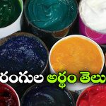 రెడ్, బ్లూ, గ్రీన్.. ఏ కలర్ గ్రీజ్ ఎందుకు వాడుతారో తెలుసా?