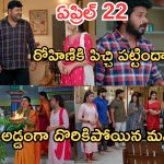 Gundeninda GudiGantalu Today episode: మాణిక్యం దెబ్బకు రోహిణి ఫ్యూజుల్ అవుట్.. మనోజ్, ప్రభా పూజ.. రోహిణికి పిచ్చి పట్టిందా..?