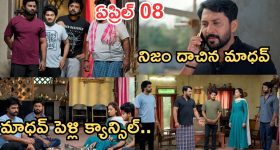 పశ్చిమాసియాలో చల్లారిన యుద్ధ జ్వాలలు.. ట్రంప్ సంచలన నిర్ణయం.. 14 రోజుల పాటు కాల్పుల విరమణ!