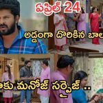 Gundeninda GudiGantalu Today episode: పెళ్లి సంబంధం కోసం వెళ్లిన మనోహర్.. అమ్మోరులా మారిన మీనా.. అడ్డంగా బుక్కయిన బాలు..