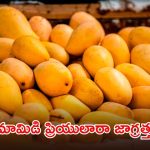 హైదరాబాద్‌లో హెచ్ ఫాస్ట్ దాడులు.. 7 టన్నుల మామిడి పండ్లు స్వాధీనం