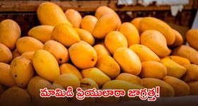 వరద నీటిలో వణికించే వాన.. వెంటాడి వేటాడే షార్క్ చేపలు