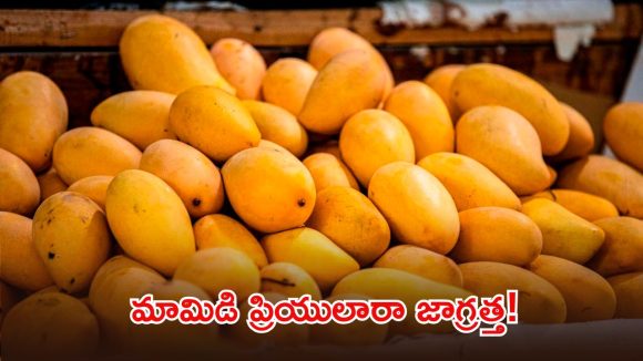 హైదరాబాద్‌లో హెచ్ ఫాస్ట్ దాడులు.. 7 టన్నుల మామిడి పండ్లు స్వాధీనం