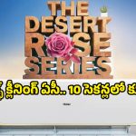 ఎండలు 50 డిగ్రీలు దాటినా డోంట్ కేర్.. ఈ Desert Rose AC ఉంటే ఇల్లు స్విట్జర్లాండే!