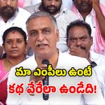 తెలంగాణ ఆత్మగౌరవాన్ని దెబ్బతీస్తుంటే.. మీరేం ప్రశ్నించరా? బీజేపీ ఎంపీలపై హరీశ్ రావు ఫైర్