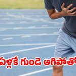 జిమ్‌కి వెళ్తున్నారా? వాకింగ్ చేస్తున్నారా? అయినా గుండెపోటు వస్తోంది.. ఎందుకో తెలుసా?