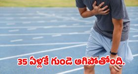 సంవత్సరానికి పది లక్షల రిఫ్రిజిరేటర్లు.. భారత్ లో కూల్ డ్రింక్స్ హవా.. వేసవిలో సేల్స్ ఎంతంటే?