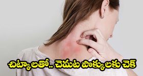 ఐర్లాండ్‌లో జాబ్.. రూ.96 లక్షల జీతం.. ఇంటర్నెట్‌ను షేక్ చేస్తున్న టెక్కీ!