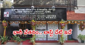 రూ.95,910 జీతంతో ఉద్యోగాలు.. ఈ క్వాలిఫికేషన్ ఉంటే చాలు మిత్రమా