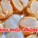 తెలంగాణ ‘ఐస్ ఆపిల్స్’: నోరూరించే తాటిముంజలతో ఇన్ని లాభాలా? తెలిస్తే రోజూ తింటారు!