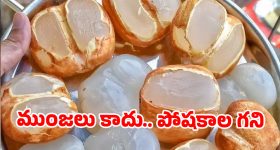 తెలంగాణ 'ఐస్ ఆపిల్స్': నోరూరించే తాటిముంజలతో ఇన్ని లాభాలా? తెలిస్తే రోజూ తింటారు!
