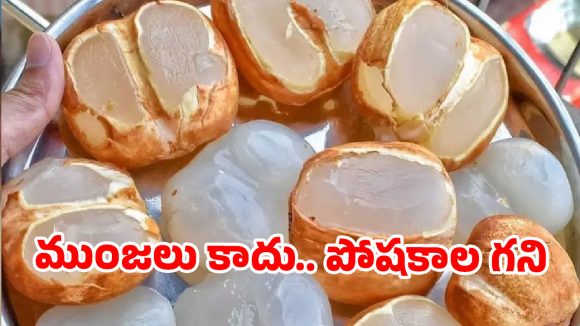 తెలంగాణ ‘ఐస్ ఆపిల్స్’: నోరూరించే తాటిముంజలతో ఇన్ని లాభాలా? తెలిస్తే రోజూ తింటారు!