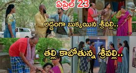 Illu Illalu Pillalu Today Episode: నిజం కక్కేసిన లారీ డ్రైవర్.. అడ్డంగా ఇరుక్కున్న శ్రీవల్లి.. తల్లి కాబోతున్న శ్రీవల్లి..