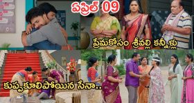 పనీర్ వంటకాలు చేసేప్పుడు ఈ తప్పులు చేయకండి.. ప్రొటీన్ పోషకాలు పోయినట్లే