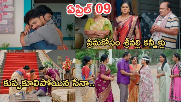 Illu Illalu Pillalu Today Episode: ప్రేమ కోసం కన్నీళ్లు పెట్టుకున్న ధీరజ్.. నిజం చెప్పిన చందు..కుప్పకూలిపోయిన సేనా..