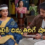 Illu Illalu Pillalu Today Episode: భాగ్యం ప్లాన్ రివర్స్.. శ్రీవల్లి కోసం మాస్టర్ ప్లాన్.. ధీరజ్ ను ఆడుకున్న ప్రేమ..