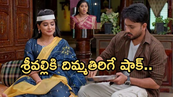Illu Illalu Pillalu Today Episode: భాగ్యం ప్లాన్ రివర్స్.. శ్రీవల్లి కోసం మాస్టర్ ప్లాన్.. ధీరజ్ ను ఆడుకున్న ప్రేమ..