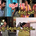 Illu Illalu Pillalu Today Episode: నర్మదకు సాగర్ వార్నింగ్.. భాగ్యం, శ్రీవల్లి ఫుల్ హ్యాపీ.. శ్రీవల్లికి దిమ్మతిరిగే షాక్..