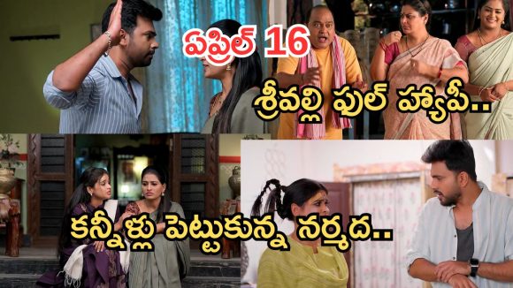 Illu Illalu Pillalu Today Episode: నర్మదకు సాగర్ వార్నింగ్.. భాగ్యం, శ్రీవల్లి ఫుల్ హ్యాపీ.. శ్రీవల్లికి దిమ్మతిరిగే షాక్..