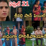 Illu Illalu Pillalu Today Episode: సాగర్, నర్మద ల మధ్య గొడవ.. శ్రీవల్లి తాయత్తు ప్లాన్.. అడ్డంగా దొరికిపోయిన శ్రీవల్లి..