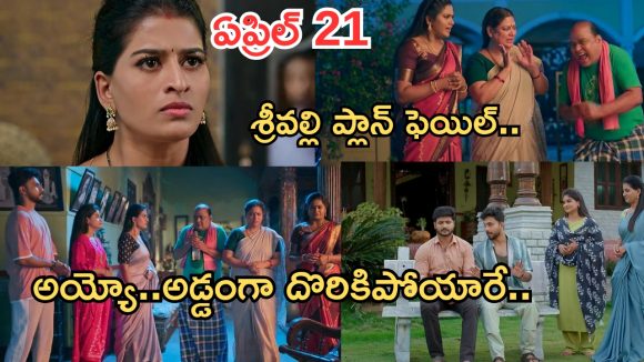 Illu Illalu Pillalu Today Episode: సాగర్, నర్మద ల మధ్య గొడవ.. శ్రీవల్లి తాయత్తు ప్లాన్.. అడ్డంగా దొరికిపోయిన శ్రీవల్లి..