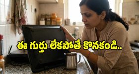 ఫ్రీలాండర్ రీ-ఎంట్రీ.. ఒకేసారి EV, PHEV, EREV వెర్షన్లలో క్రేజీ SUV లాంచ్!