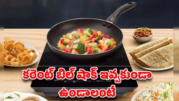 గ్యాస్ సిలిండర్ ధరకు దెబ్బ.. ఇండక్షన్ వాడితే బిల్లు తడిసి మోపెడవుతుందా?