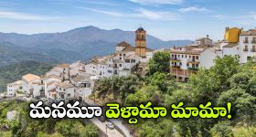 ఇళ్లు ఫ్రీ.. ఉద్యోగం కూడా ఇచ్చేస్తారట.. యూరప్‌ విలేజ్ క్రేజీ ఆఫర్!