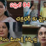 Intinti Ramayanam Today Episode: నిజం చెప్పలేక కన్నీళ్లు పెట్టుకున్న అవని.. భరత్ మాటకు మీనాక్షి షాక్.. చక్రధర్ కు దిమ్మతిరిగే షాక్….