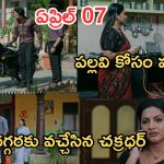 Intinti Ramayanam Today Episode: శ్రీకర్ కోసం శ్రీయ గొడవ..పల్లవికి అవని చెక్.. చక్రధర్ కు ఘోర అవమానం..